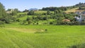 Cantabria landscape with field and a small village.