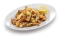 Cantabrian fried squid, rabas de calamar