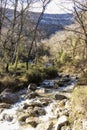 Cantabrian Wilderness: A Glimpse into the Pristine Beauty of a Northern Spanish River