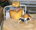 Cantal cheese for sale at local market in Provence