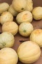 Cantalopes or melons for sale at the market Royalty Free Stock Photo