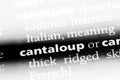 cantaloup