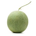 Cantaloupe Royalty Free Stock Photo