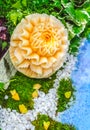 Cantaloupe fruit carving in the garden. Royalty Free Stock Photo