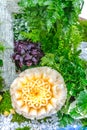 Cantaloupe fruit carving in the garden. Royalty Free Stock Photo
