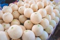 Cantaloupe fruits in the market Royalty Free Stock Photo