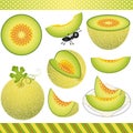 Cantaloupe Melon Digital Clipart