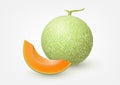 Cantaloupe melon, fruit vector illustration