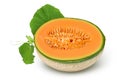 Cantaloupe melon half isolated on white background with full depth of field. Royalty Free Stock Photo