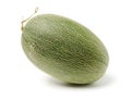 Cantaloupe melon .Hami melon Royalty Free Stock Photo