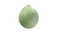 Cantaloupe melon or Honeydew melons are comprised of about 95 percent water and, as such, contain fewer carbohydrates than other Royalty Free Stock Photo