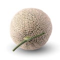 cantaloupe melon isolated on white background Royalty Free Stock Photo