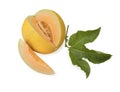 cantaloupe melon isolated on white Royalty Free Stock Photo