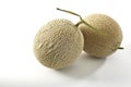 Cantaloupe melon isolated on white background Royalty Free Stock Photo