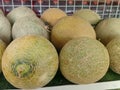 Cantaloupe melon in the market, Cantaloupe melon background, melons on a straw grass background. Stone melon sells in the market. Royalty Free Stock Photo