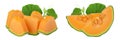 Cantaloupe melon pieces isolated on white background with full depth of field. Royalty Free Stock Photo