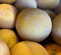Cantaloupe Melon Yellow