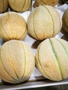 Cantaloupe melone Royalty Free Stock Photo