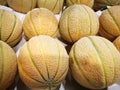 Cantaloupe melone Royalty Free Stock Photo