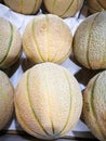 Cantaloupe melone Royalty Free Stock Photo