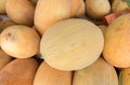 Cantaloupe melons at organic farmers market Royalty Free Stock Photo