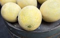 Cantaloupe melons at organic farmers market Royalty Free Stock Photo