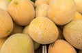 Cantaloupe melons at organic farmers market Royalty Free Stock Photo