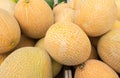 Cantaloupe melons at organic farmers market Royalty Free Stock Photo