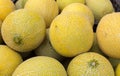 Cantaloupe melons at organic farmers market Royalty Free Stock Photo