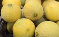 Cantaloupe melons at organic farmers market Royalty Free Stock Photo