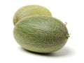 Cantaloupe muskmelon