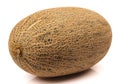 Cantaloupe, Netted melon Royalty Free Stock Photo