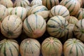 Cantaloupe rock melon muskmelon spanspek Royalty Free Stock Photo
