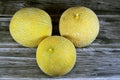 The cantaloupe, rockmelon (Australia and New Zealand, although cantaloupe), sweet melon, or spanspek