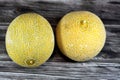 The cantaloupe, rockmelon (Australia and New Zealand, although cantaloupe), sweet melon, or spanspek Royalty Free Stock Photo