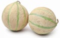 Cantaloupe or rockmelon