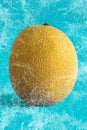 Water splash Cantaloupe yellow melon fruit Royalty Free Stock Photo