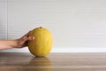 Cantaloupe yellow melon fruit in hand Royalty Free Stock Photo