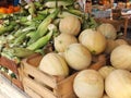 Cantaloupes and Corn on the Cob Royalty Free Stock Photo