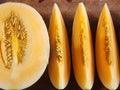 The Cantaoupe hidroponics Melon