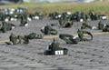 Canteen of Brazilian Air Force soldiers