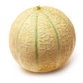 Canteloupe melon fruit (Cucumis melo)