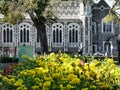 The Canterbury Museum with a yellow flowes on the foreground