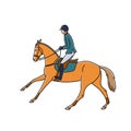 Cantering horse and athlete, vector illustration Royalty Free Stock Photo