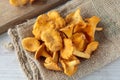 Cantharellus mushrooms Royalty Free Stock Photo