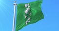 Canton of St Gallen Flag, Switzerland. Loop