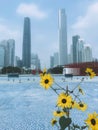 The famous landmark Canton Tower, the financial building and the beauty of the city in Guangzhou, Guangdong Province, China Royalty Free Stock Photo