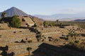 Cantona pyramids in puebla, mexico X