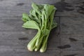 Cantonese or bog choy placed on the wooden table in the kitchen. Royalty Free Stock Photo