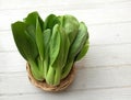 cantonese lettuce ,Bok Choy(Chinese cabbage) small choy sum,green pak choi, in bamboo basket